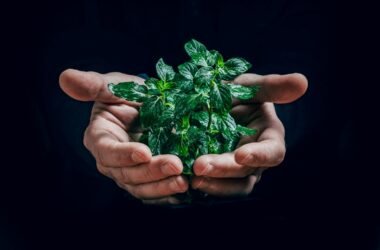 Gaming et écologie