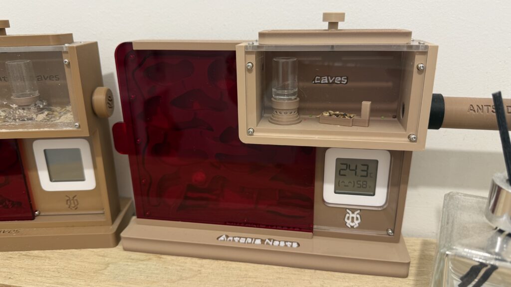 deuxieme antopia nests