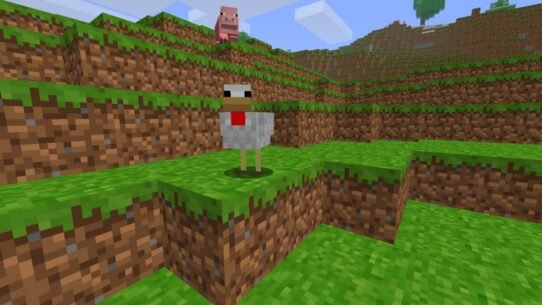 Poulet et cochon dans un paysage de blocs verts