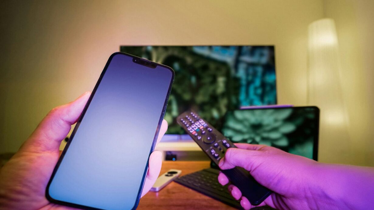 Usage du streaming en France