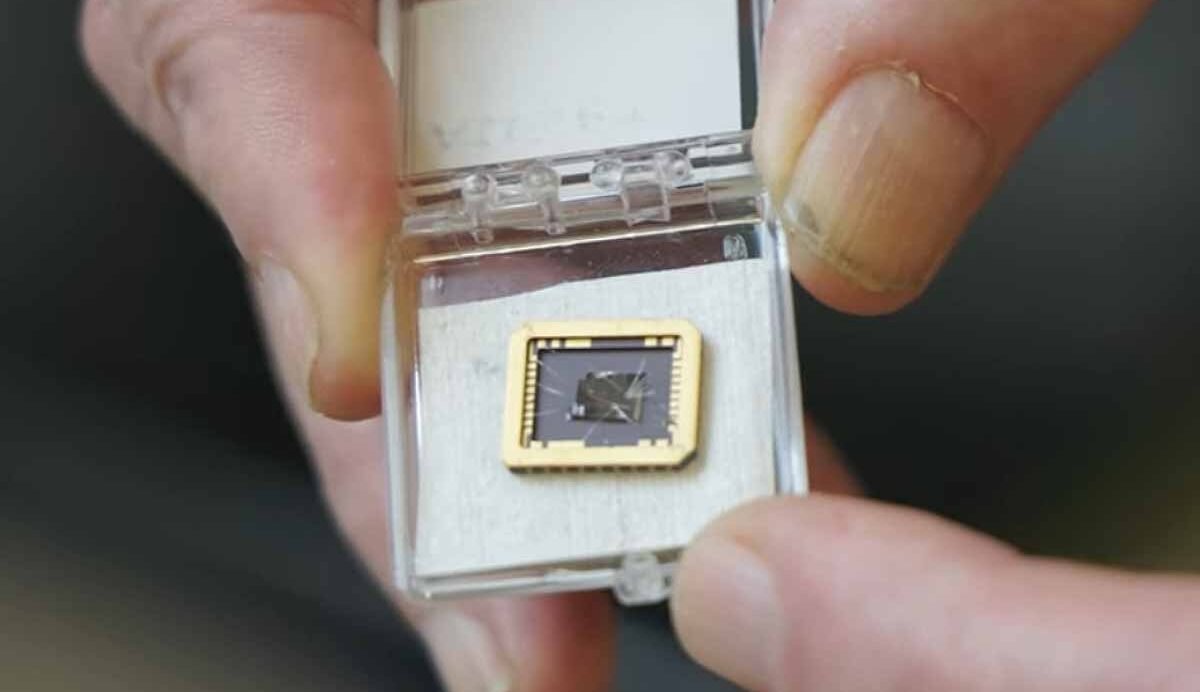 Main tenant un microprocesseur miniature dans une boîte transparente