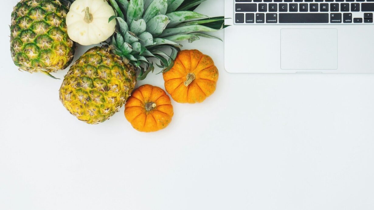 Petit chien blanc marchant sur l'herbe verte